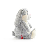Hase Zoe